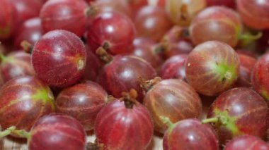 Bektaşi üzümü. Amla. Kaydırıcı atışı