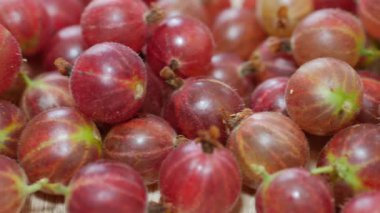 Amla. Bektaşi üzümü. Kaydırıcı atışı