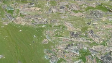 Kirli, kirli su. Ötrofikasyon.