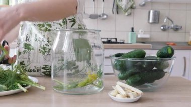 Ev yapımı ekşi salatalık hazırlayan kadın cam kavanoza dereotu ekliyor.