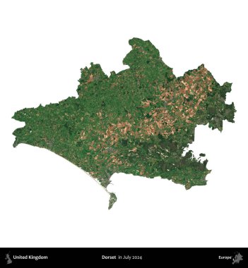 Dorset. Birleşik Krallık 'ın idari alanı, Temmuz 2024' te çekilen Kopernik Nöbetçi karolarından oluşan bir uydu görüntüsü ile beyaza izole edilmiştir.