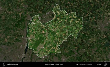Epping Ormanı. Birleşik Krallık 'ın idari alanı, Haziran 2023' te çekilen Kopernik Nöbetçi karolarından oluşan koyu renkli bir uydu görüntüsüyle vurgulanmış ve özetlenmiştir.