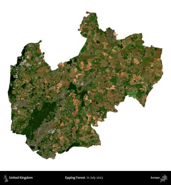 Epping Ormanı. Birleşik Krallık 'ın idari bölgesi, Temmuz 2023' te çekilen Kopernik Nöbetçi karolarından oluşan bir uydu görüntüsü ile beyaza izole edilmiştir.