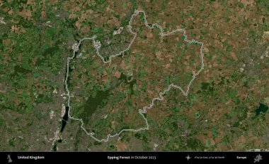 Epping Ormanı. Ekim 2023 'te çekilen Kopernik Nöbetçi karolarından oluşan bir uydu görüntüsü üzerinde Birleşik Krallık' ın idari alanının ana hatlarını belirledik.
