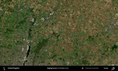 Epping Ormanı. Ekim 2023 'te Copernicus Sentinel karolarından oluşan bir uydu görüntüsü üzerinde Birleşik Krallık' ın idari alanı
