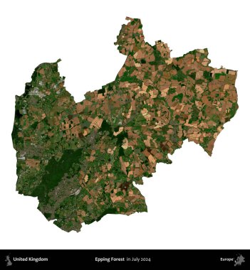 Epping Ormanı. Birleşik Krallık 'ın idari alanı, Temmuz 2024' te çekilen Kopernik Nöbetçi karolarından oluşan bir uydu görüntüsü ile beyaza izole edilmiştir.