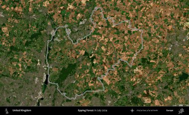 Epping Ormanı. Temmuz 2024 'te çekilen Copernicus Sentinel karolarından oluşan bir uydu görüntüsü üzerinde Birleşik Krallık' ın idari bölgesinin ana hatlarını belirledik.
