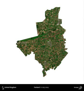 Fenland. Birleşik Krallık 'ın idari alanı, Temmuz 2024' te çekilen Kopernik Nöbetçi karolarından oluşan bir uydu görüntüsü ile beyaza izole edilmiştir.