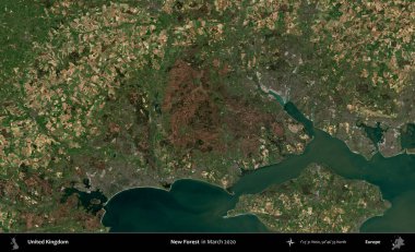 Yeni Orman. Mart 2020 'de Copernicus Sentinel karolarından oluşan bir uydu görüntüsü üzerinde Birleşik Krallık' ın idari alanı