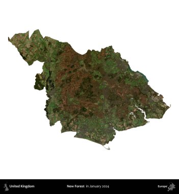 Yeni Orman. Birleşik Krallık 'ın idari alanı, Copernicus Sentinel' in Ocak 2024 'te çekilen uydu görüntüsüyle beyaza izole edildi.