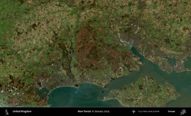 Yeni Orman. Ocak 2024 'te Copernicus Sentinel karolarından oluşan bir uydu görüntüsü üzerinde Birleşik Krallık' ın idari alanı