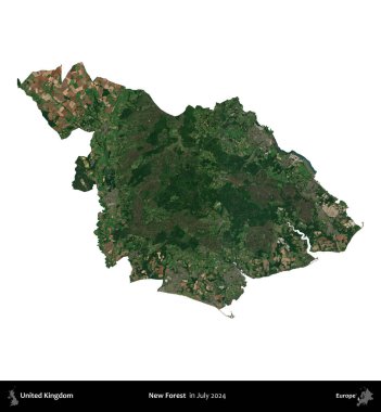 Yeni Orman. Birleşik Krallık 'ın idari alanı, Temmuz 2024' te çekilen Kopernik Nöbetçi karolarından oluşan bir uydu görüntüsü ile beyaza izole edilmiştir.
