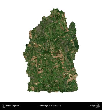Tandridge. Birleşik Krallık 'ın idari alanı, Ağustos 2024' te çekilen Kopernik Nöbetçi karolarından oluşan bir uydu görüntüsü üzerinde beyaza izole edilmiştir.