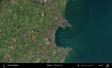 Torbay. Kopernik Sentinel 'in Şubat 2021' de çekilmiş uydu görüntüsü üzerine Birleşik Krallık 'ın idari alanı