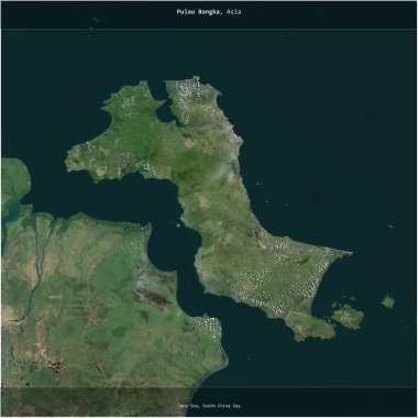 Endonezya 'ya ait Java Denizi' ndeki Pulau Bangka, 3 Ağustos 2015 'te çekilen bir uydu görüntüsünün karesini aldı.