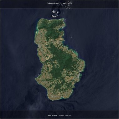 Japonya 'ya ait Doğu Çin Denizi' ndeki Tokunoshima Adası 22 Mayıs 2019 'da çekilen bir uydu görüntüsünün karesini aldı.