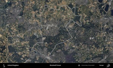 Bracknell Ormanı. Birleşik Krallık 'ın B uydusu görüntülerinde özetlenmiş idari alanı
