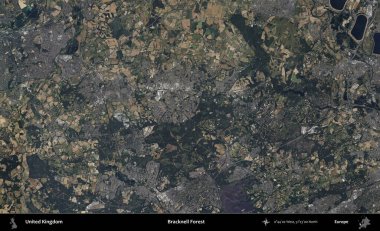 Bracknell Ormanı. B uydusunun görüntülerine göre Birleşik Krallık 'ın idari alanı