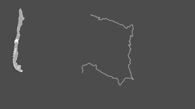 Bio-Biyoloji - Şili bölgesi, çıkarılmış ve izole edilmiş. Gri Tonlama