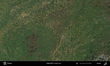 Cote-d'Or. Copernicus Sentinel 'in Nisan 2021' de çekilmiş uydu görüntüsü üzerine Fransa 'nın idari bölgesi.