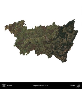 Vosges. Fransa 'nın idari bölgesi, Mart 2022' de çekilen Kopernik Nöbetçi karolarından oluşan bir uydu görüntüsüyle beyaza izole edildi.
