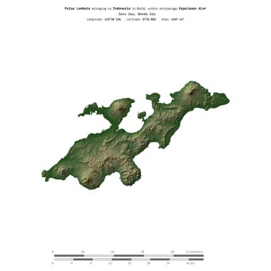 Endonezya 'ya ait Savu Denizi' ndeki Pulau Lembata, uzaklık ölçeğine sahip renkli bir yükseklik haritasında izole edilmiştir.