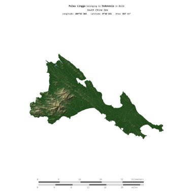 Güney Çin Denizi 'ndeki Pulau Lingga, Endonezya' ya ait, uzaklık ölçeğinde, renkli bir yükseklik haritasında izole edilmiş.