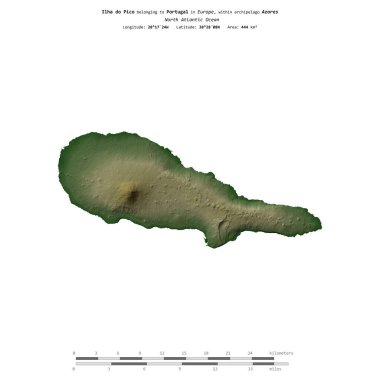 Portekiz 'e ait Kuzey Atlantik Okyanusu' ndaki Ilha do Pico, uzaklık ölçeğinde, renkli bir yükseklik haritasında izole edilmiştir.