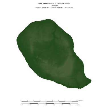 Endonezya 'ya ait Java Denizi' ndeki Pulau Sapudi, uzaklık ölçeğine sahip renkli bir yükseklik haritasında izole edilmiştir.