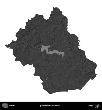 gmina Borne Sulinowo. Polonya 'nın idari bölgesi gri ölçekli yükseklik haritasında beyaza izole edildi