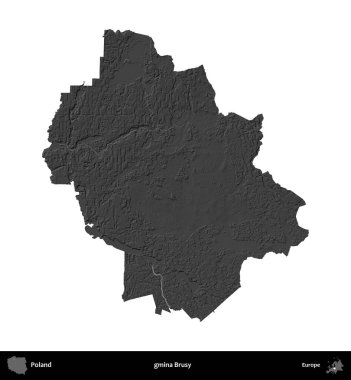 - Evet, öyle. Polonya 'nın idari bölgesi gri ölçekli yükseklik haritasında beyaza izole edildi