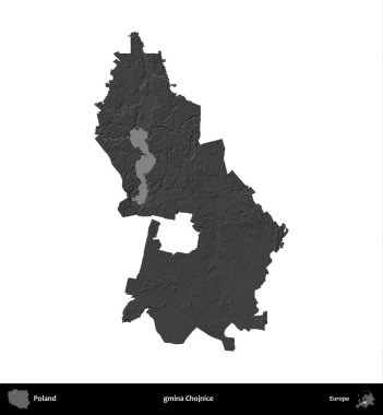 gmina Chojnice. Polonya 'nın idari bölgesi gri ölçekli yükseklik haritasında beyaza izole edildi