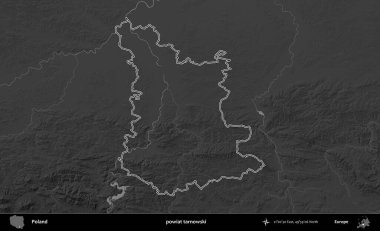 powiat tarnowski. Polonya 'nın idari bölgesini gri ölçekli bir yükseklik haritasında özetledim