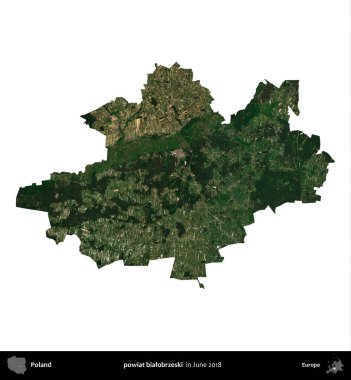 powiat bialobrzeski. Polonya idari bölgesi, Haziran 2018 'de çekilen Kopernik Nöbetçi karolarından oluşan bir uydu görüntüsü üzerinde beyaza izole edildi.