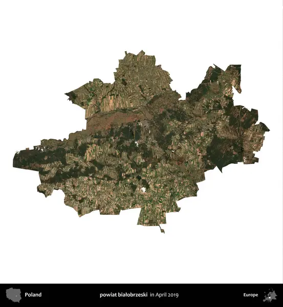 powiat bialobrzeski. Polonya idari bölgesi, Nisan 2019 'da çekilen Kopernik Nöbetçi karolarından oluşan bir uydu görüntüsü üzerinde beyaza izole edildi.