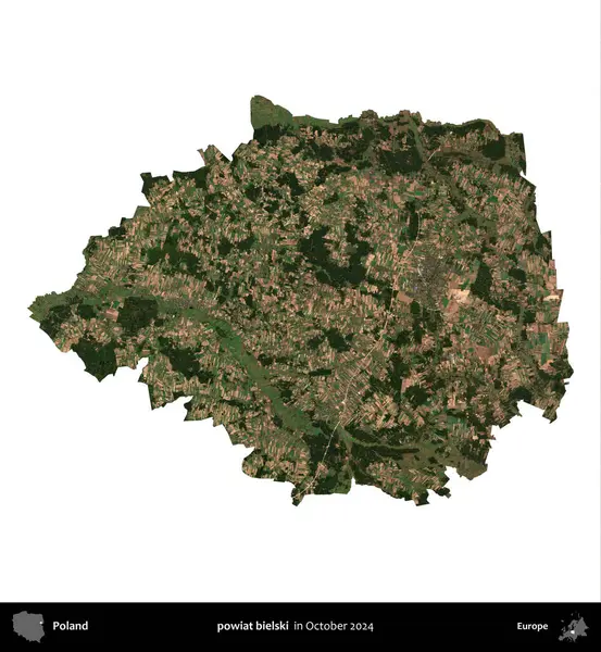 powiat bielski. Polonya idari bölgesi, Ekim 2024 'te çekilen Kopernik Nöbetçi karolarından oluşan bir uydu görüntüsü üzerinde beyaza izole edildi.