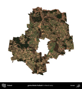 gmina Bielsk Podlaski. Polonya idari bölgesi, Mart 2025 'te çekilen Kopernik Nöbetçi karolarından oluşan bir uydu görüntüsü üzerinde beyaza izole edildi.