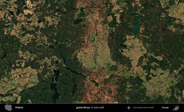 - Evet, öyle. Copernicus Sentinel 'in Haziran 2018' de çekilmiş uydu görüntüsü üzerine Polonya 'nın idari bölgesi