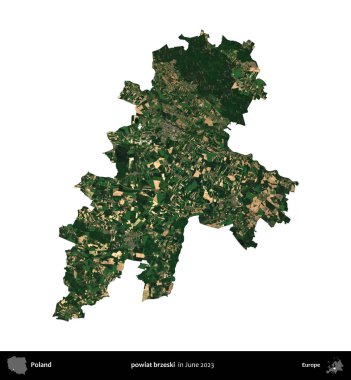 powiat brzeski. Polonya idari bölgesi, Haziran 2023 'te çekilen Kopernik Nöbetçi karolarından oluşan bir uydu görüntüsü üzerinde beyaza izole edildi.