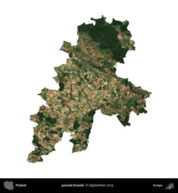 powiat brzeski. Polonya idari bölgesi, Eylül 2023 'te çekilen Kopernik Nöbetçi karolarından oluşan bir uydu görüntüsü üzerinde beyaza izole edildi.