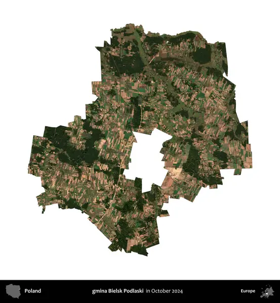 gmina Bielsk Podlaski. Polonya idari bölgesi, Ekim 2024 'te çekilen Kopernik Nöbetçi karolarından oluşan bir uydu görüntüsü üzerinde beyaza izole edildi.