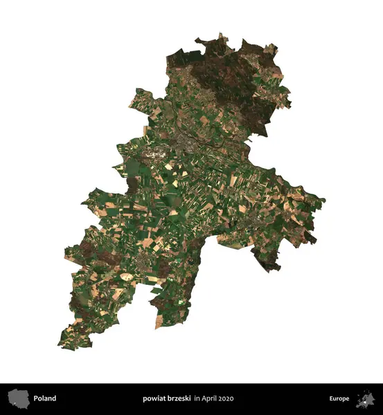powiat brzeski. Polonya idari bölgesi, Nisan 2020 'de çekilen Kopernik Nöbetçi karolarından oluşan bir uydu görüntüsü üzerinde beyaza izole edildi.