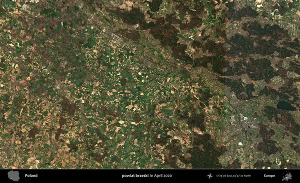powiat brzeski. Nisan 2020 'de Copernicus Sentinel karolarından oluşan bir uydu görüntüsü üzerine Polonya' nın idari bölgesi