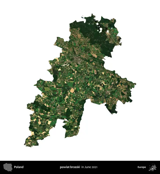 powiat brzeski. Polonya idari bölgesi, Haziran 2021 'de çekilen Kopernik Nöbetçi karolarından oluşan bir uydu görüntüsü üzerinde beyaza izole edildi.