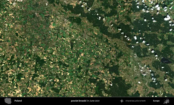 powiat brzeski. Copernicus Sentinel 'in Haziran 2021' de çekilmiş uydu görüntüsü üzerine Polonya 'nın idari bölgesi