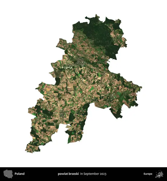 powiat brzeski. Polonya idari bölgesi, Eylül 2023 'te çekilen Kopernik Nöbetçi karolarından oluşan bir uydu görüntüsü üzerinde beyaza izole edildi.