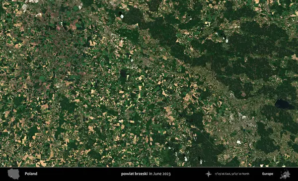 powiat brzeski. Copernicus Sentinel 'in Haziran 2023' te çekilmiş uydu görüntüsü üzerine Polonya 'nın idari bölgesi.
