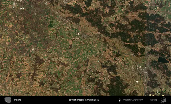 powiat brzeski. Copernicus Sentinel 'in Mart 2025' te çekilmiş uydu görüntüsü üzerine Polonya 'nın idari bölgesi