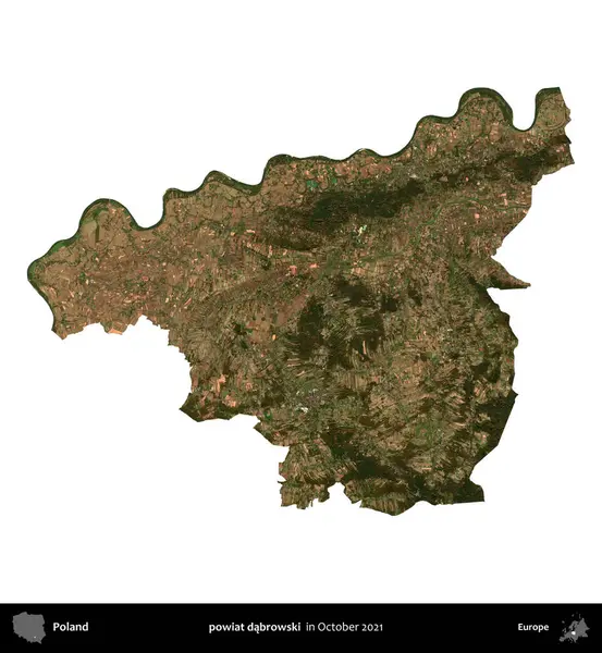 powiat dabrowski. Polonya idari bölgesi, Ekim 2021 'de çekilen Kopernik Nöbetçi karolarından oluşan bir uydu görüntüsü üzerinde beyaza izole edildi.