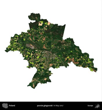 powiat glogowski. Polonya idari bölgesi, Mayıs 2017 'de çekilen Kopernik Nöbetçi karolarından oluşan bir uydu görüntüsü üzerinde beyaza izole edildi.